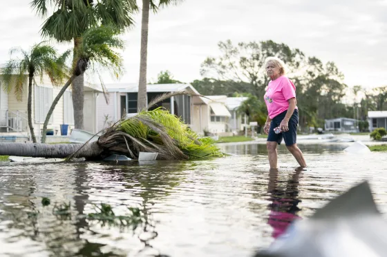 A person is walking through a flooded street in a neighborhood, with a fallen palm tree and waterlogged houses in the background.